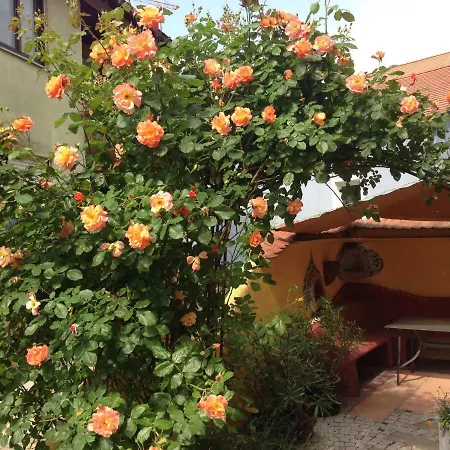 Apartament Casanova