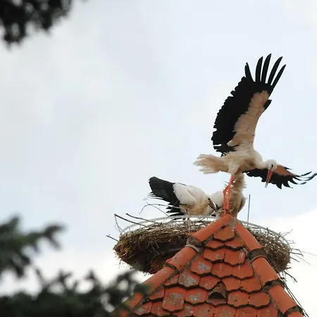 Apartament Casanova Bad Windsheim