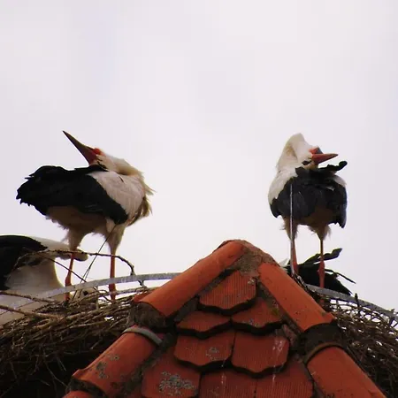 Casanova Apartament Bad Windsheim