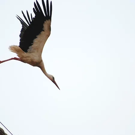 Casanova Apartament Bad Windsheim