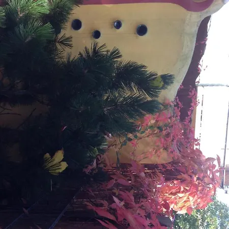 Apartament Casanova *