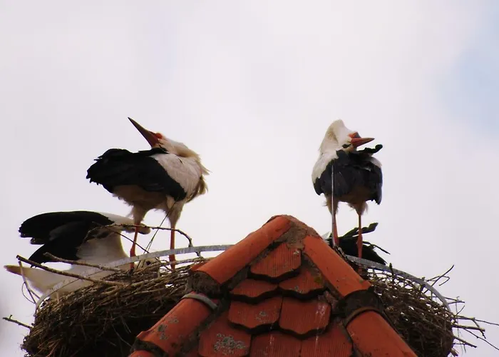 Casanova דירה באד וינדסהיים