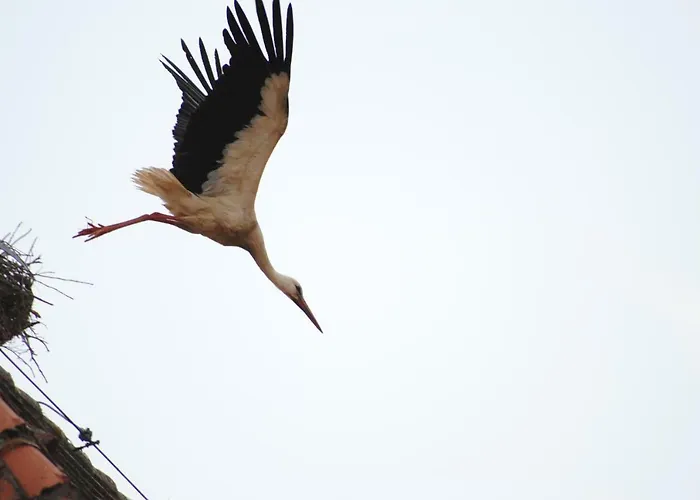 Casanova דירה באד וינדסהיים